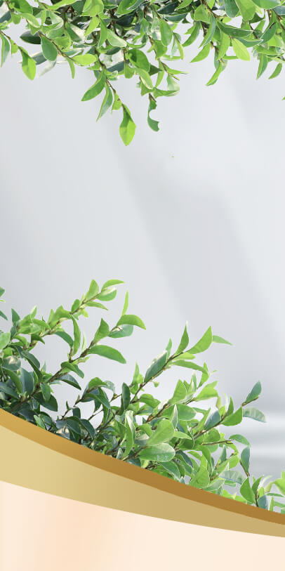 华人策略hrceluebbs 乐互宜 关于轻漏尿