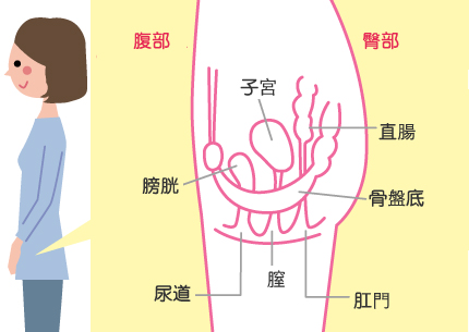 华人策略hrceluebbs